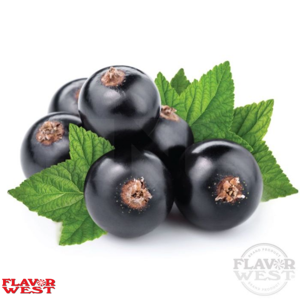 Flavor West Black Currant