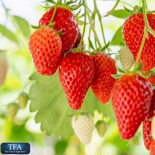 TFA Strawberry Splash