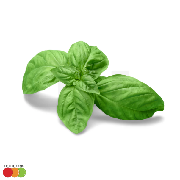 One On One Basil