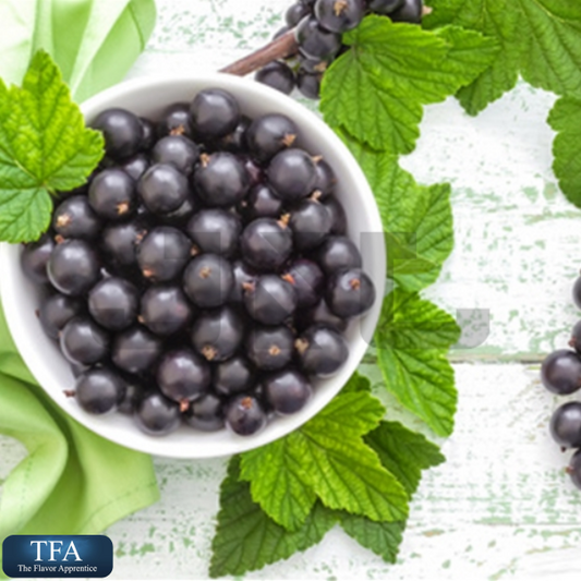 TFA Black Currant