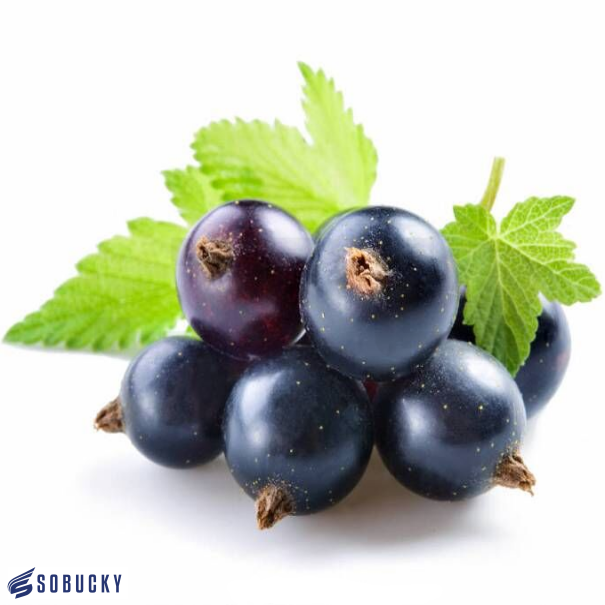 Sobucky Super Aromas Blackcurrant - In Stock