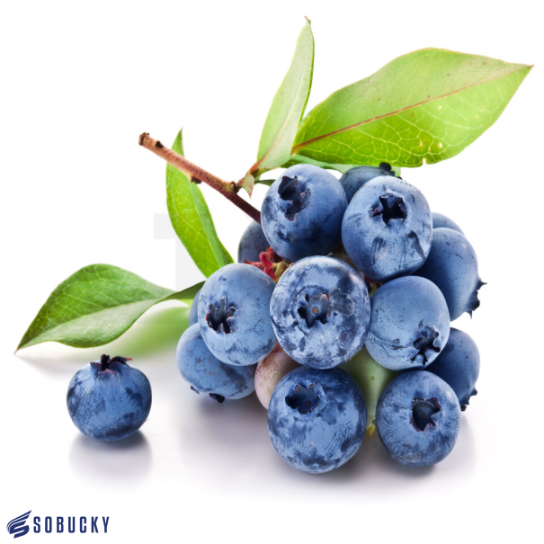 Sobucky Super Aromas Blueberry - In Stock