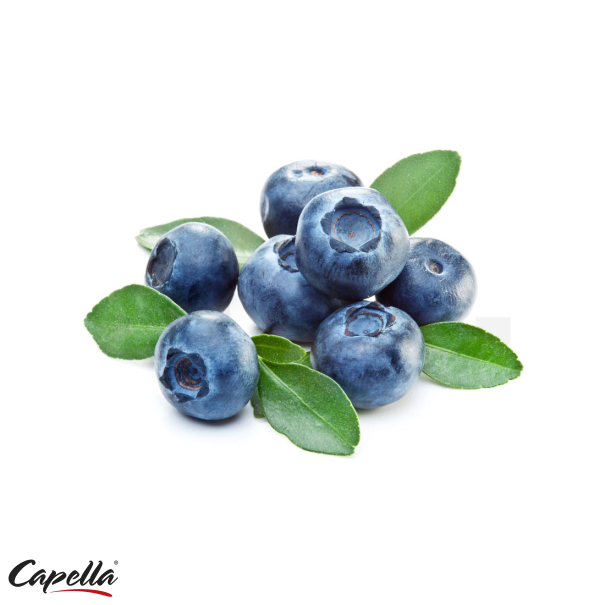 Capella Blueberry