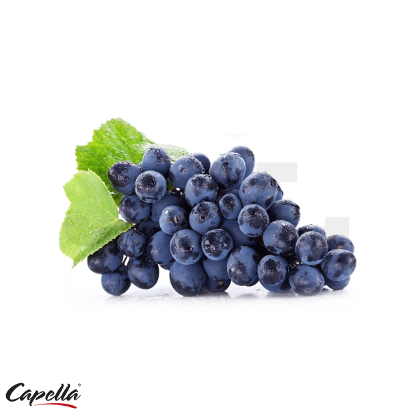 Capella Concord Grape with Stevia