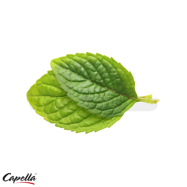Capella Spearmint