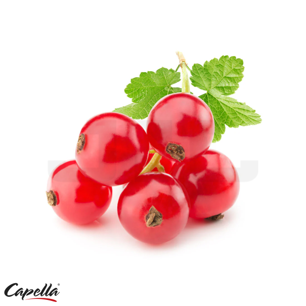 Capella Sweet Currant