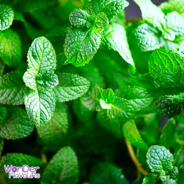 Wonder Flavours SC Double Mint