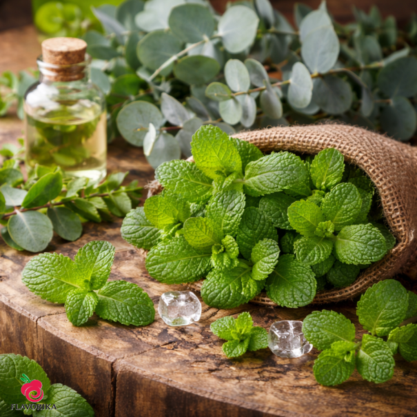Flavorika Eucalyptus with Mint - In Stock