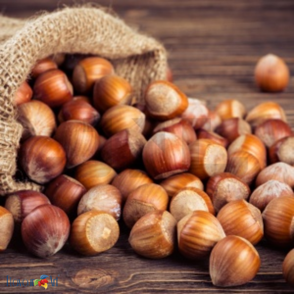 Flavour Art Hazelnut