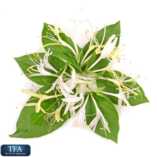TFA Honeysuckle