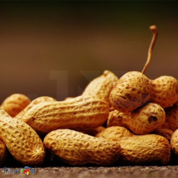 Flavour Art Peanut