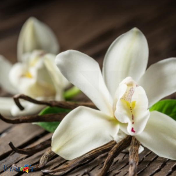 Flavour Art Vanilla Classic Madagascar